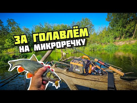 Видео: Блёсны и тараканы MAD FISH | Как я ловил голавля на уральской микроречке