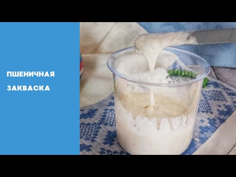 Видео: ПШЕНИЧНАЯ ЗАКВАСКА ДЛЯ ХЛЕБА . ПРОСТО , БЫСТРО И НА ВСЕГДА. КАК ВЫВЕСТИ ПШЕНИЧНУЮ ЗАКВАСКУ.