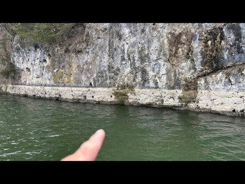 Видео: Всегда используйте ЭТУ приманку при ловле рыбы на обрывах…