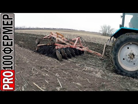 Видео: Лущение палки в феврале.