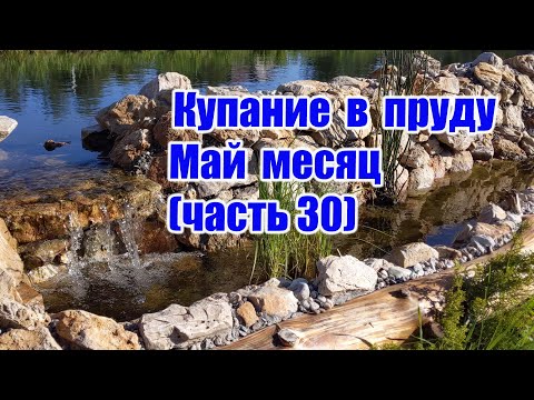 Видео: Купание в пруду. Май месяц (часть 30)