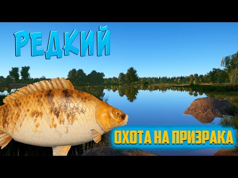 Видео: Рыба призрак, как и где ловить? Рыбалка на озере Янтарном РР4