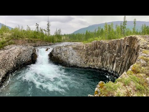 Видео: Одна река и два хариуса