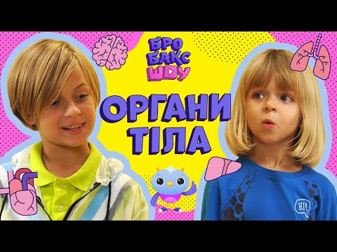 Видео: 😱ЩО ВСЕРЕДИНІ НАС? | ОРГАНИ ТІЛА | ЛЕО ТА ЕЛВІН | БРОБАКС ШОУ