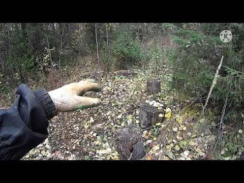 Видео: КОП МЕТАЛЛА ВДОЛЬ ЛЕСНЫХ ДОРОГ#коп #металлокоп #копметалла #shorts #металл #чермет #железо #ferrum