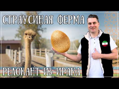 Видео: Как ИРАНЕЦ создал УНИКАЛЬНУЮ ферму в УЗБЕКИСТАНЕ?