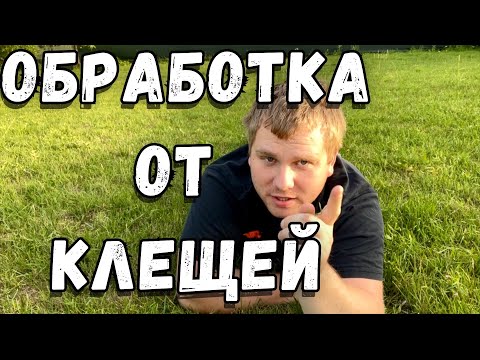 Видео: Как избавиться от клещей на садовом участке 🦟 Обработка территории