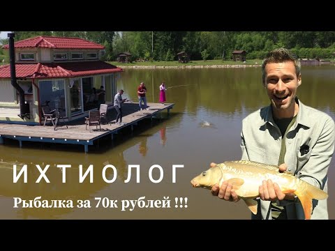 Видео: Все о платной рыбалке  | ОТДЫХ В  ПОДМОСКОВЬЕ