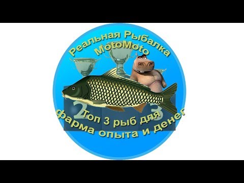 Видео: Топ 3 рыб для фарма опыта и денег [АРХИВ] | Реальная Рыбалка.