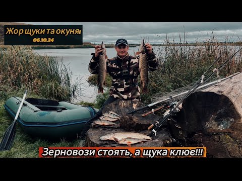 Видео: "Дощ Не Перешкода! Ловля Щуки та Окуня на Хмельниччині Під Час Простоїв Комбайнів" Жор щуки 2024!!!