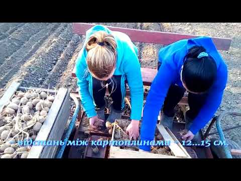 Видео: Посадка картоплі 2018