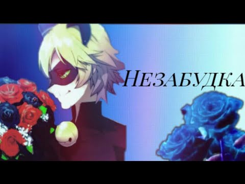 Видео: Клип Леди Баг и Супер Кот |незабудка|