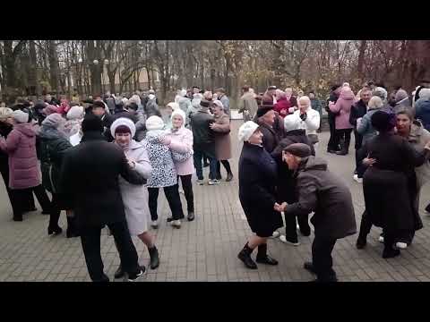 Видео: Улыбнись и подумай..... 09.11.25 Гомель парк Луначарского 🥰💫