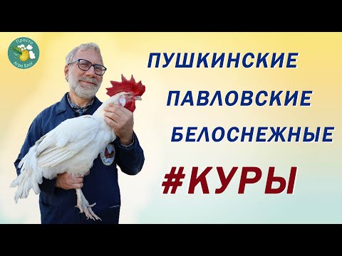 Видео: Пернатая коллекция пушкинских генетиков