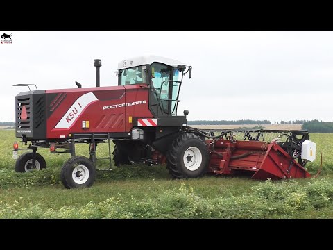 Видео: Лучшая самоходная косилка KSU 1 Ростсельмаш на заготовке сенажа