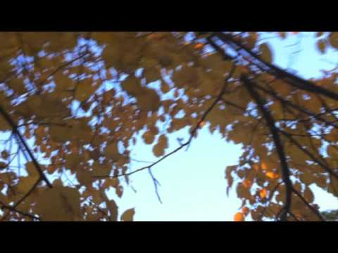 Видео: Абрахам-Хикс. Фрагменты семинаров. Эпизод 4. Что если я хочу именно его?