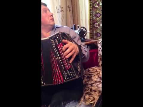 Видео: Встречи у Семёна Решетова- Александр Ланин