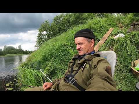 Видео: Рыбачу у столовой медведя.