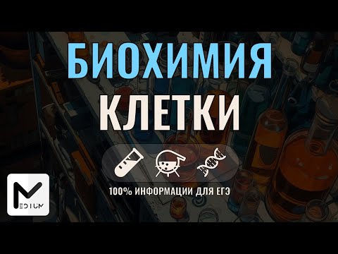 Видео: Биохимия клетки / ЕГЭ по биологии 2025-2026