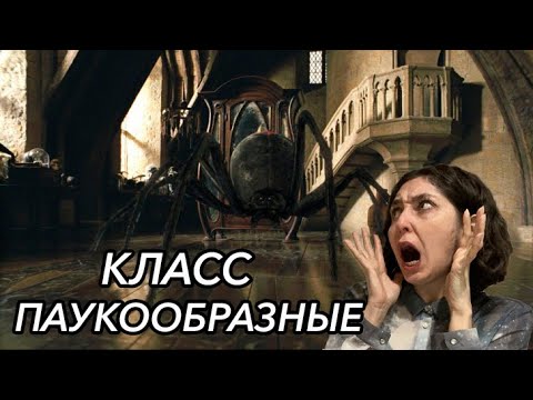 Видео: Урок "Класс Паукообразные" - ЦТ, ЕГЭ, ЗНО