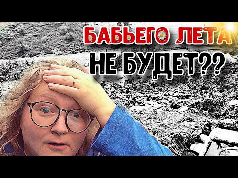 Видео: Икра кабачковая по ГОСТу СССР 🤤 Аджику делаю 🍅 Купили новых курочек🐔 Погода не радует 🥶