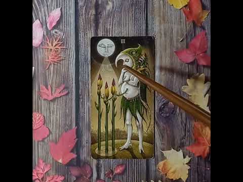 Видео: Для начинающих.Таро безумной луны.Тройка Жезлов