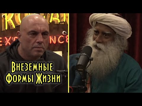 Видео: Джо Роган И Садхгуру Беседуют О Внеземных Формах Жизни
