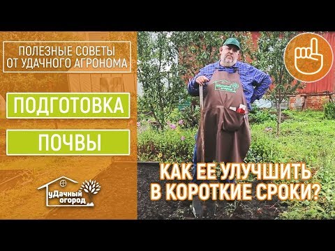 Видео: Правильная подготовка почвы к зиме осенью.