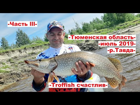 Видео: Рыбалка на Тавде в середине июля, часть 3 / Тюменская область / Лето 2019