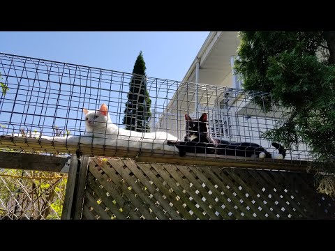 Видео: Экскурсия и предложения