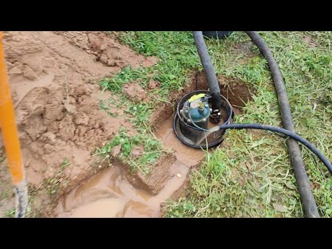 Видео: Безумный глоток на абиссинской скважине.