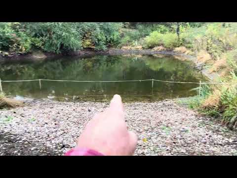 Видео: Больше никаких грязевых прудов! Постройте каменные ограждения для здоровья скота