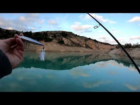 Видео: Black Bass en primavera,embalse Crevillente.Басс на водохранилище весной.