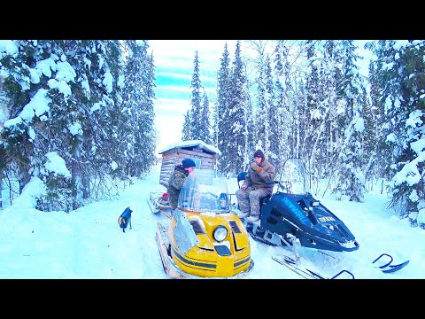 Видео: ЭТУ ИЗБУ ПЫТАЛИСЬ УТАЩИТЬ ТРАКТОРОМ! / НА СНЕГОХОДАХ ЕДЕМ ДО ИЗБУШКИ. ОХОТА НА БОРОВУЮ ДИЧЬ.