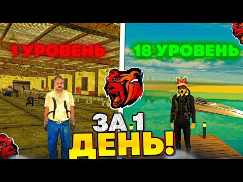 Видео: 18 УРОВЕНЬ ЗА 1 ДЕНЬ! ЭТО ЛЕГКО - КАК ПОДНЯТЬ УРОВЕНЬ НА BLACK RUSSIA ! (crmp mobile)