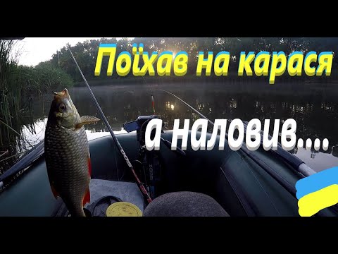 Видео: Поїхав за карасем # Наловив окуня і краснопірки #РибачуЯкУмію