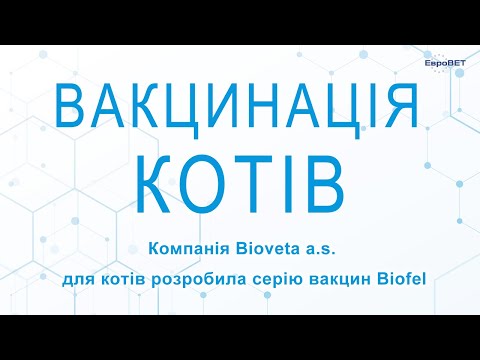 Видео: Міфи та реальність вакцинації котів