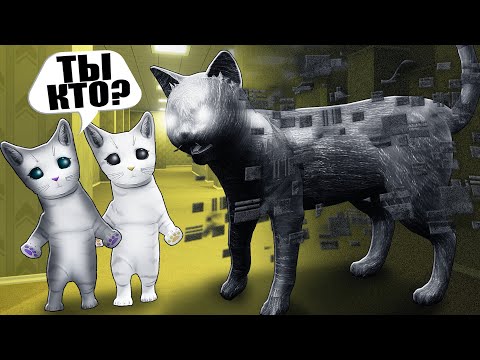 Видео: НАШЛИ СТРАННОГО КОТИКА В БЭКРУМСАХ! Roblox Kitten Game