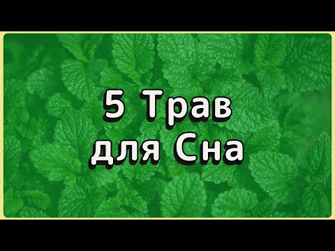 Видео: 5 Травяных Чаев для Крепкого Сна После 60.