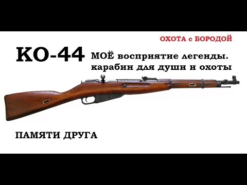 Видео: ОХОТА с БОРОДОЙ. КО-44. Винтовка Мосина, как много в этом звуке. Легендарное оружие для души и охот.