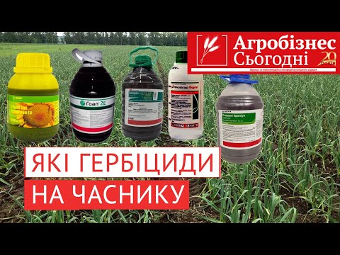 Видео: Які гербіциди використовувати на часнику