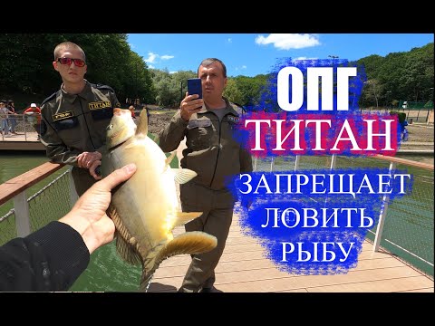 Видео: Бешеный клёв голодной рыбы! На Комсомольском пруду в Ставрополе.