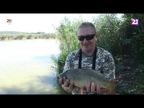 Видео: Карпатське рибалля / Ловля коропа на озері «Сальва» в місті Виноградів