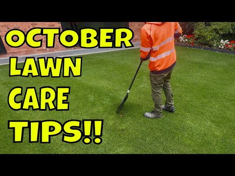 Видео: ЧТО ОБЯЗАТЕЛЬНО СДЕЛАЙТЕ В ОКТЯБРЕ, чтобы ваш газон выглядел хорошо.