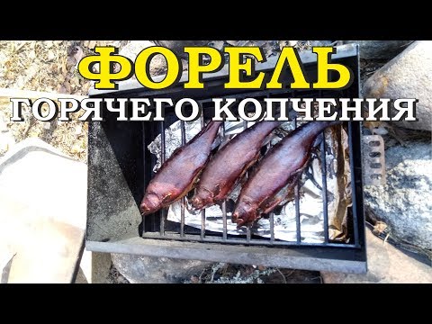 Видео: Форель горячего копчения. Рецепт приготовления.