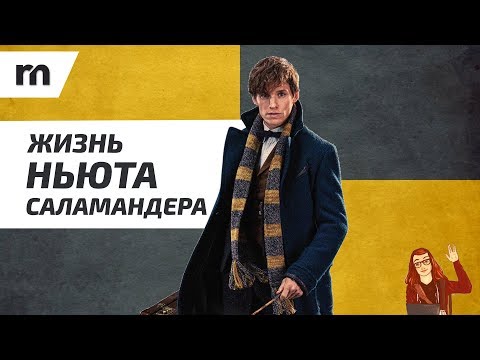 Видео: Фантастическая жизнь Ньюта Саламандера 🧳✨