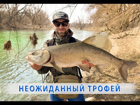 Видео: Ловля на ОДНУ ПРИМАНКУ! ЖЕРЕХ на ДЖИГ! СF ARION