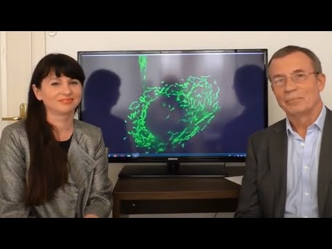 Видео: Интегративная митохондриальная медицина. Часть 3.