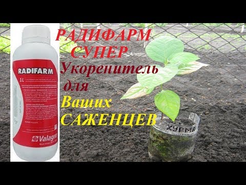 Видео: Радифарм - Супер Укоренитель для Ваших Саженцев