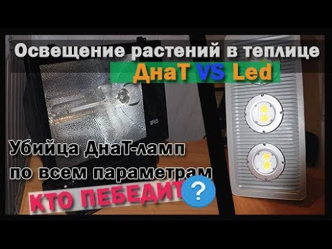 Видео: Освещение растений 💡 Сравнение ДНАТ или LED кто победит ?